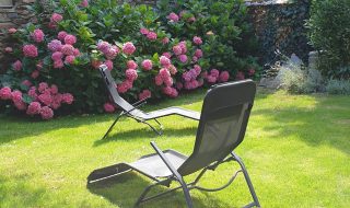 IMG_20200729_175853_078[16678]